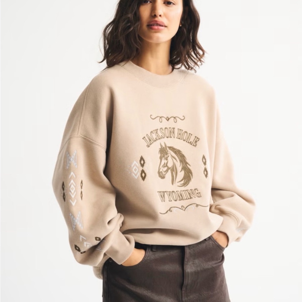 NWT A&F Wyoming Oversized Sunday Crew, Sz M